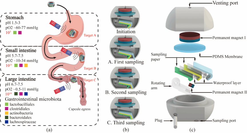 首页- Z6官网中国区人生就是博