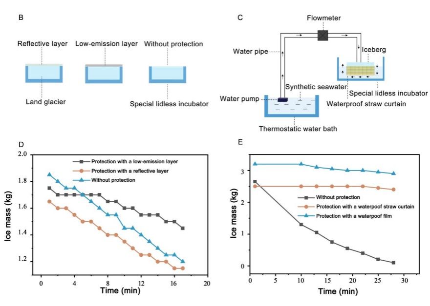 8F56A282E437871B23C454EA926_AE8BA3F8_E206