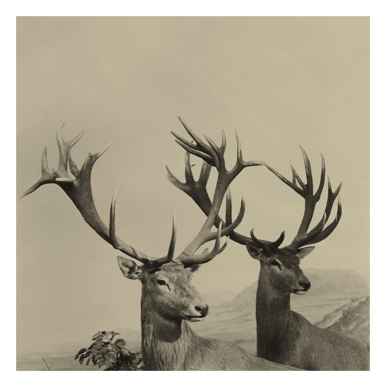 09777EF202581E51DB4B44B3CB4_EFA977B8_20FDB