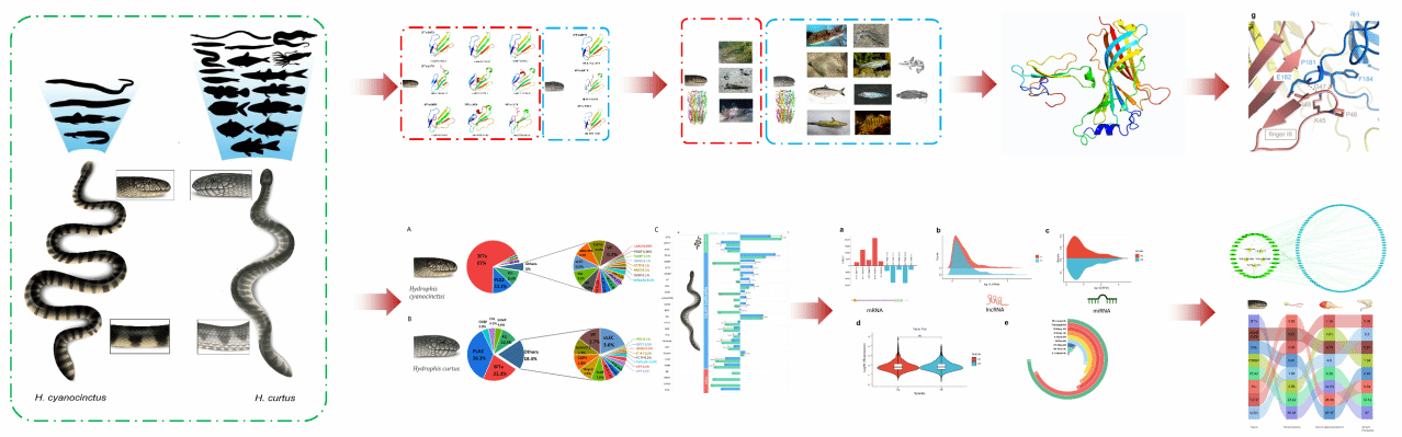 802333CDACCA81BA881BB154DD2_945E3FD5_1508C