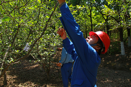 首页- Z6官网中国区人生就是博