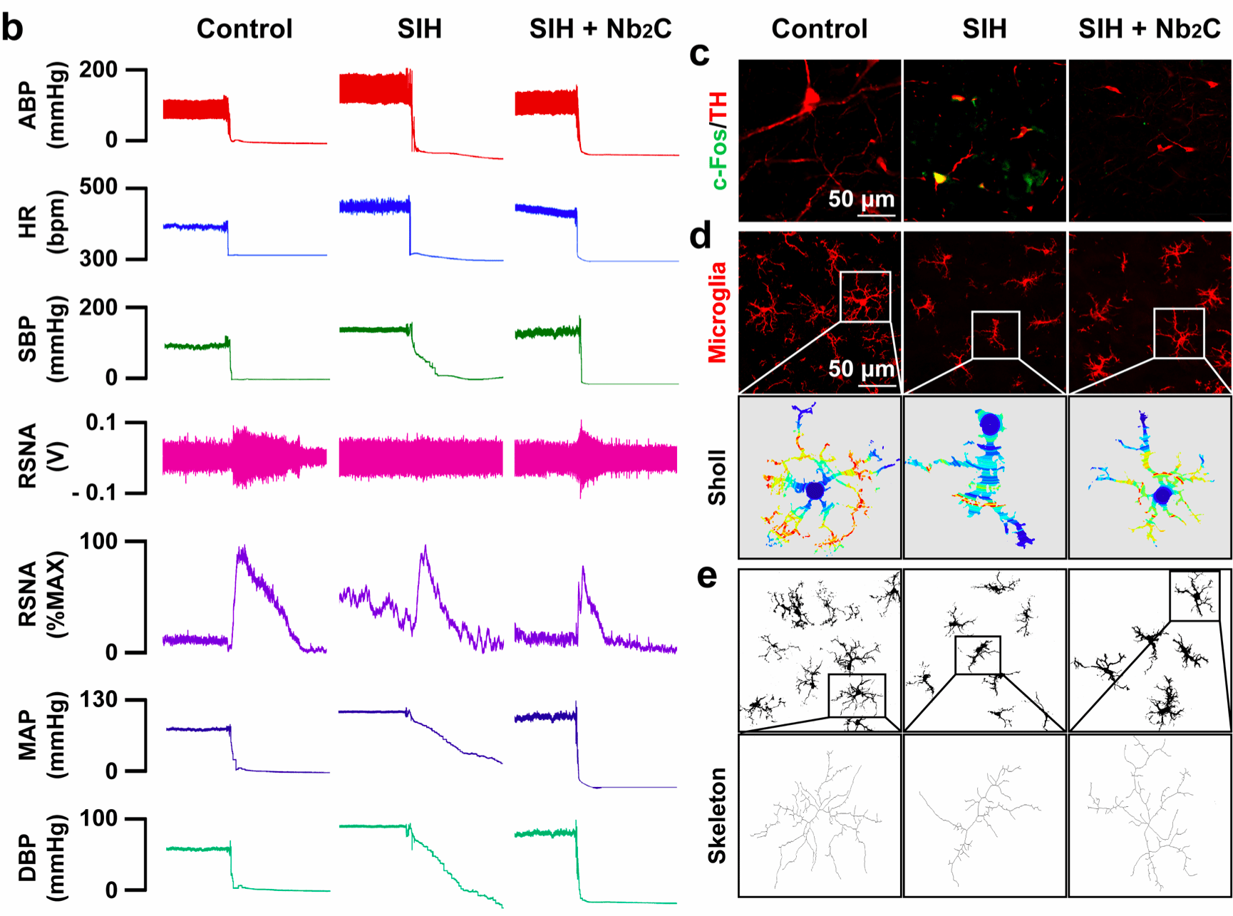 3F4D9C8B6F3FEE721CA30B90763_92B39459_37827