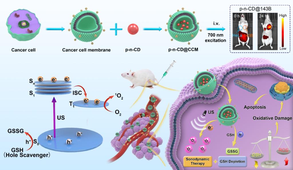 F6991EB049B15D352E174615C71_EB14BA7D_1353B.png?e=