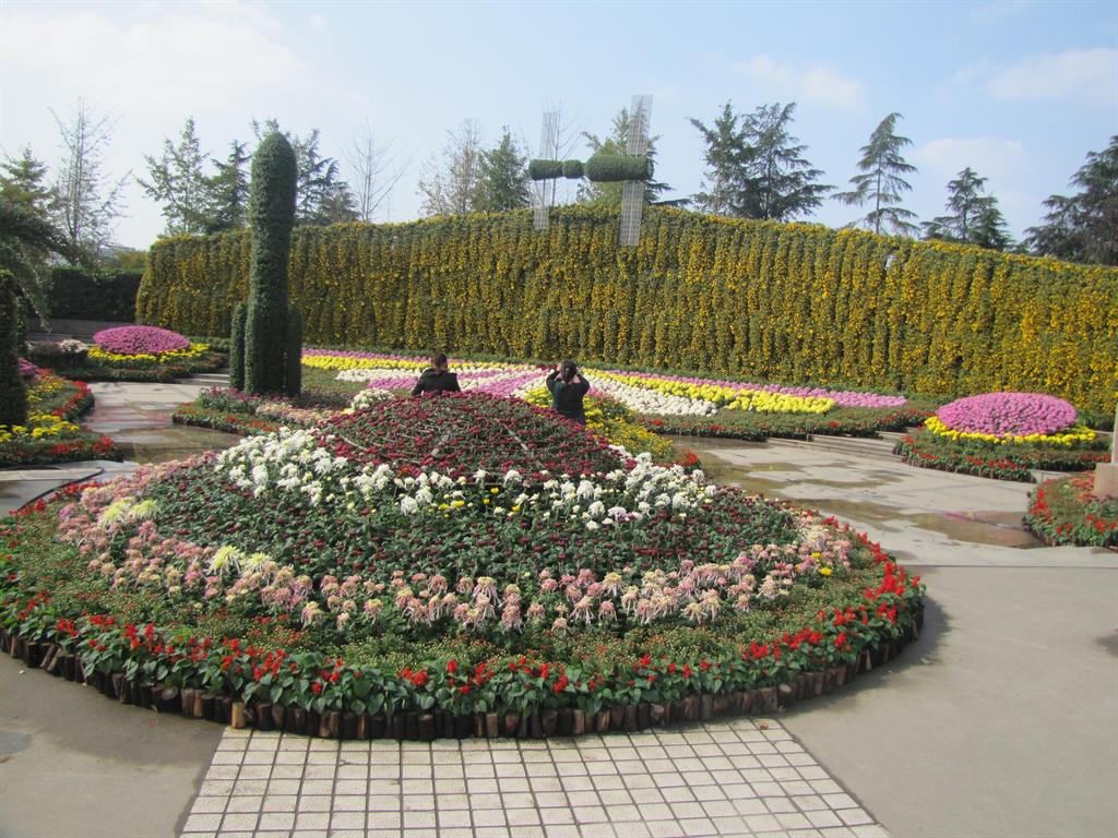 首页- Z6官网中国区人生就是博