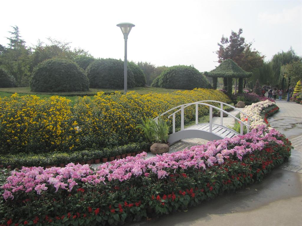 首页- Z6官网中国区人生就是博