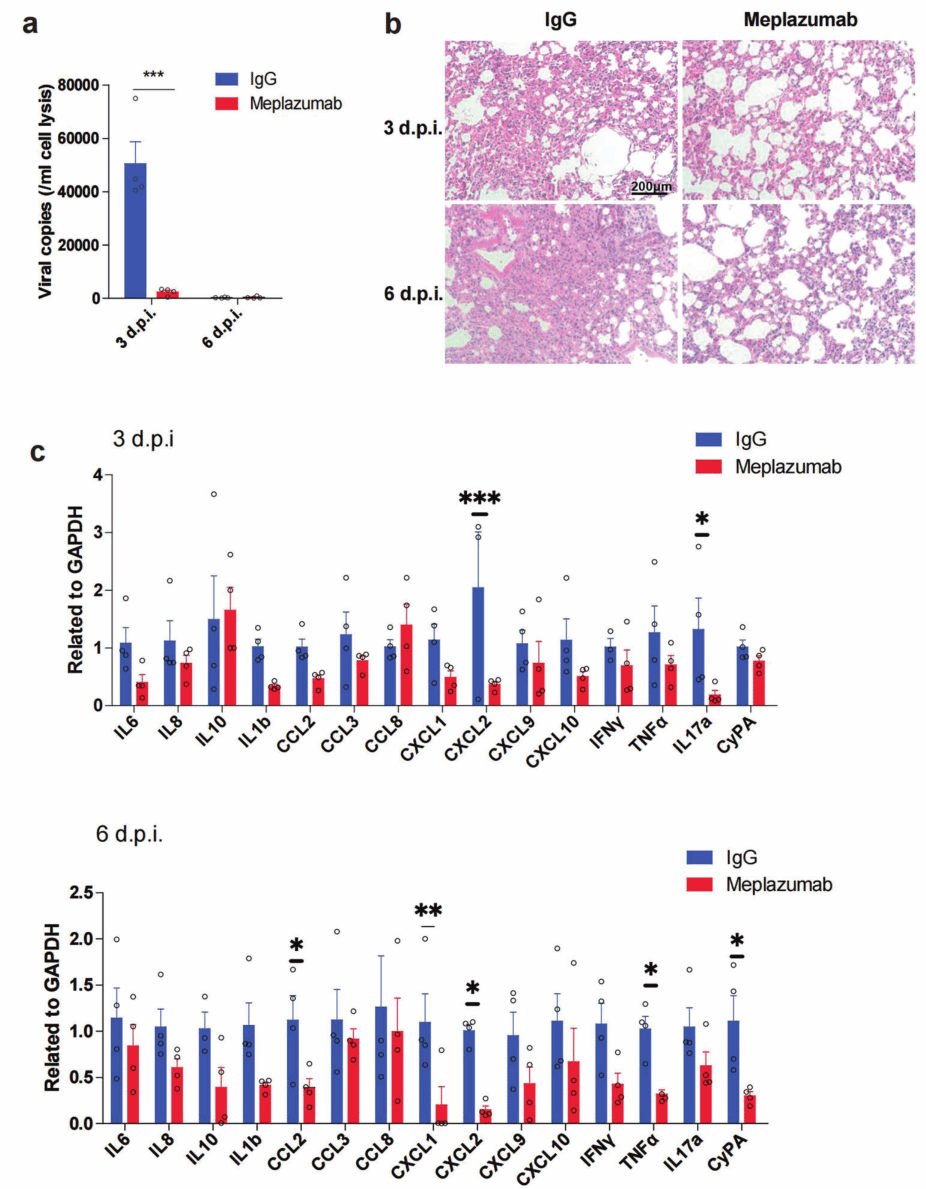 5DA787BFBBDD27D25E5D06A722E_E2D70E72_39A9F