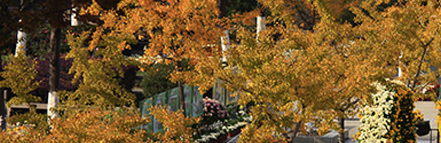 首页- Z6官网中国区人生就是博